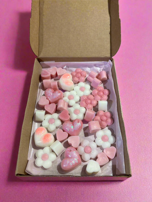 Snow angel medium wax melt gift box