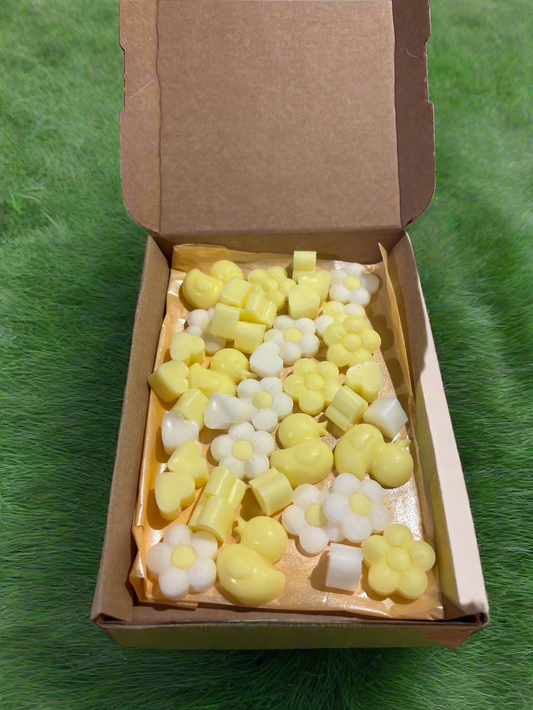 Burst of sunshine medium wax melt gift box